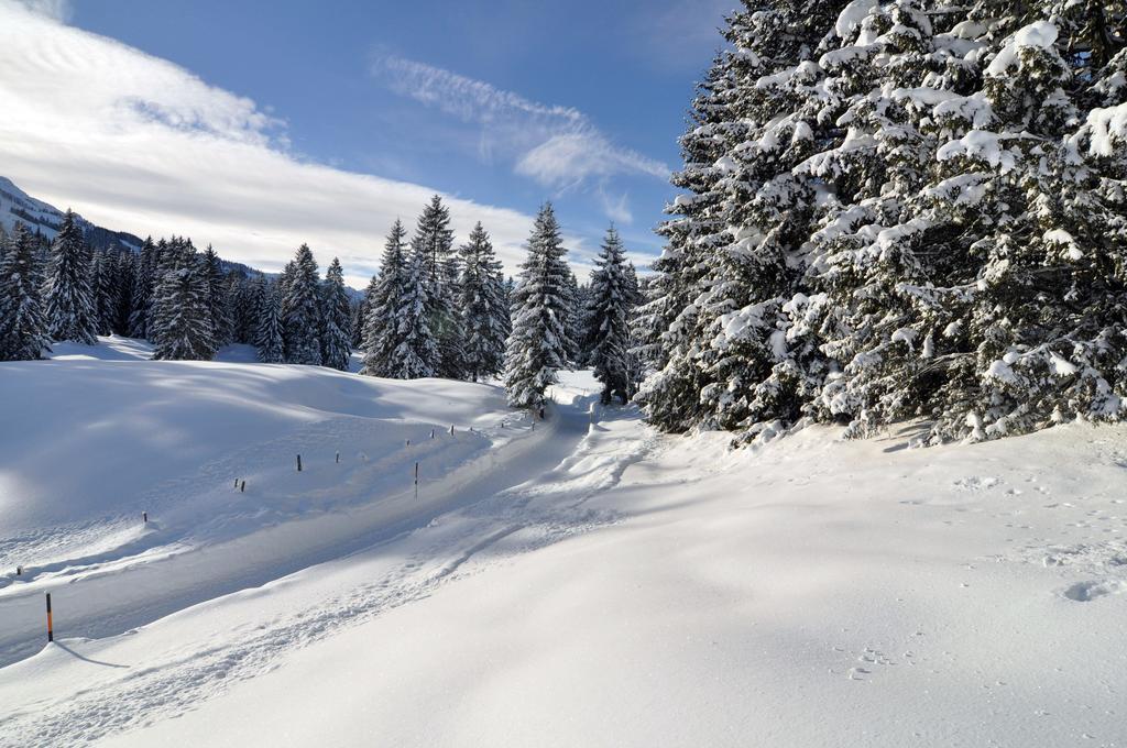 Отель Berghof